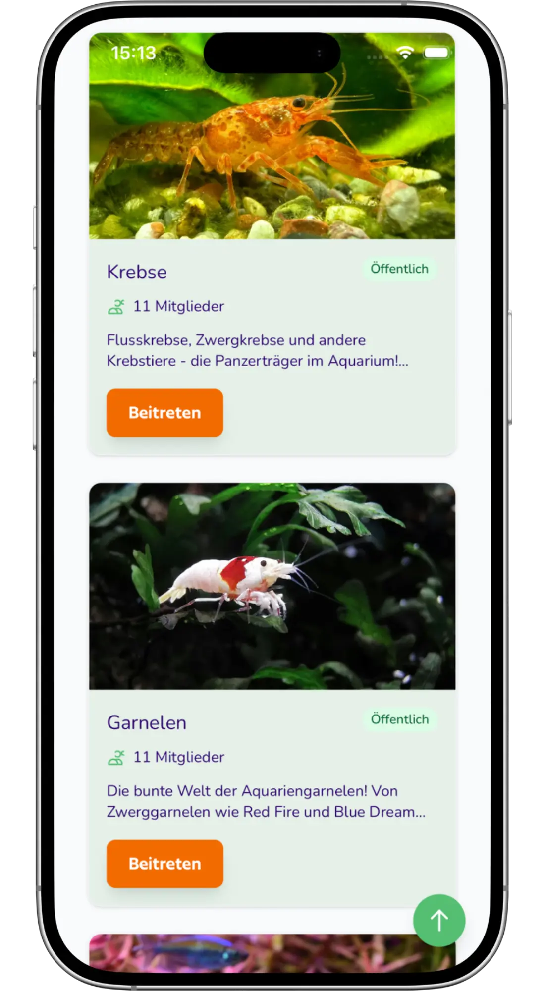 Profilansicht in der aquariooh! App auf einem Smartphone
